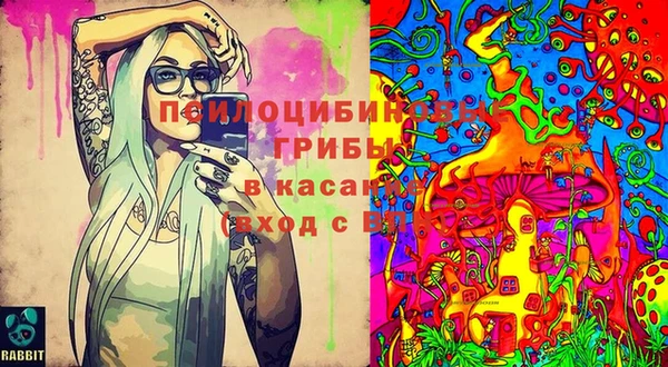 герыч Алексин
